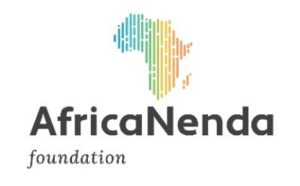 AfricaNenda Paid Internship Program (Remote) – Program Support Intern